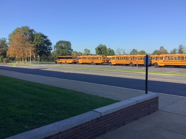 Tour Day Buses