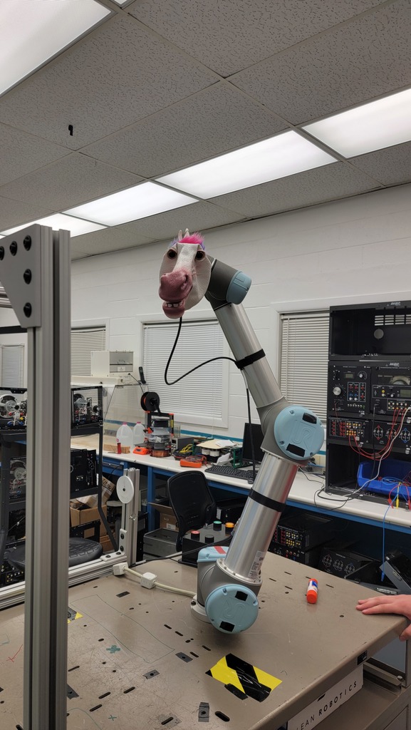 masked robotic arm