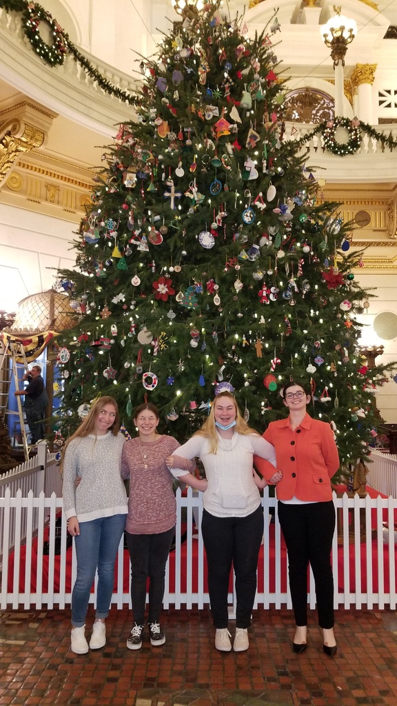 PA Capitol Building Christmas Tree