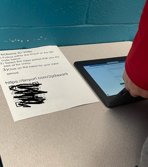 Mock election directions