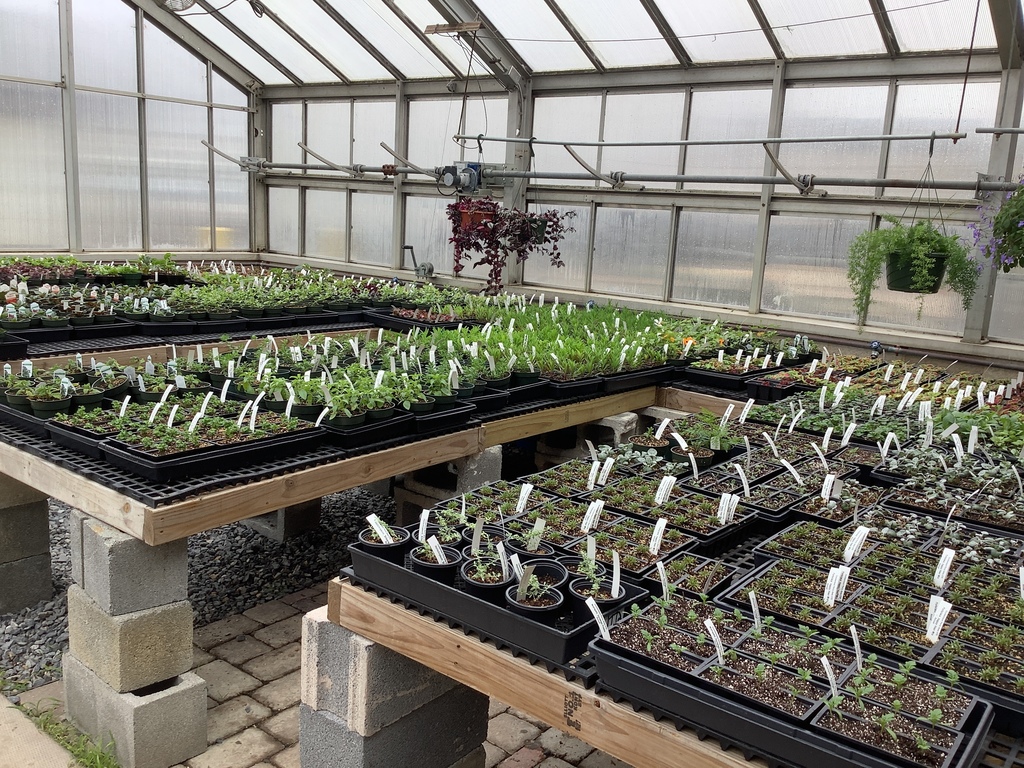 Horticulture Spring Greenhouse