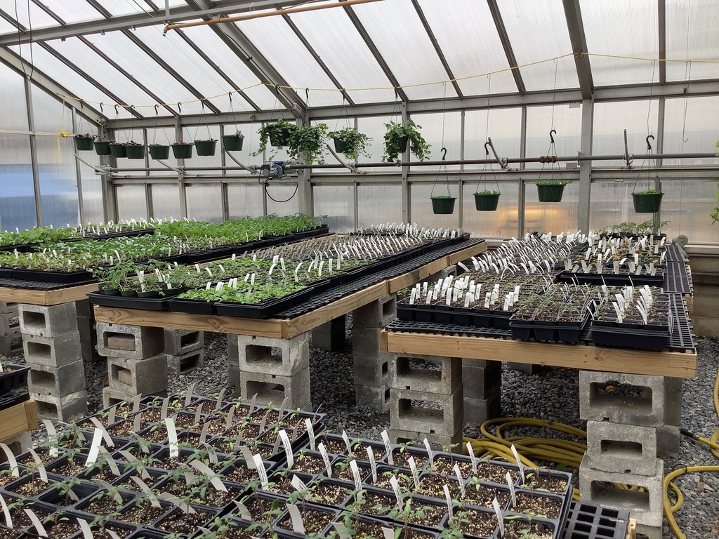 Horticulture Spring Greenhouse